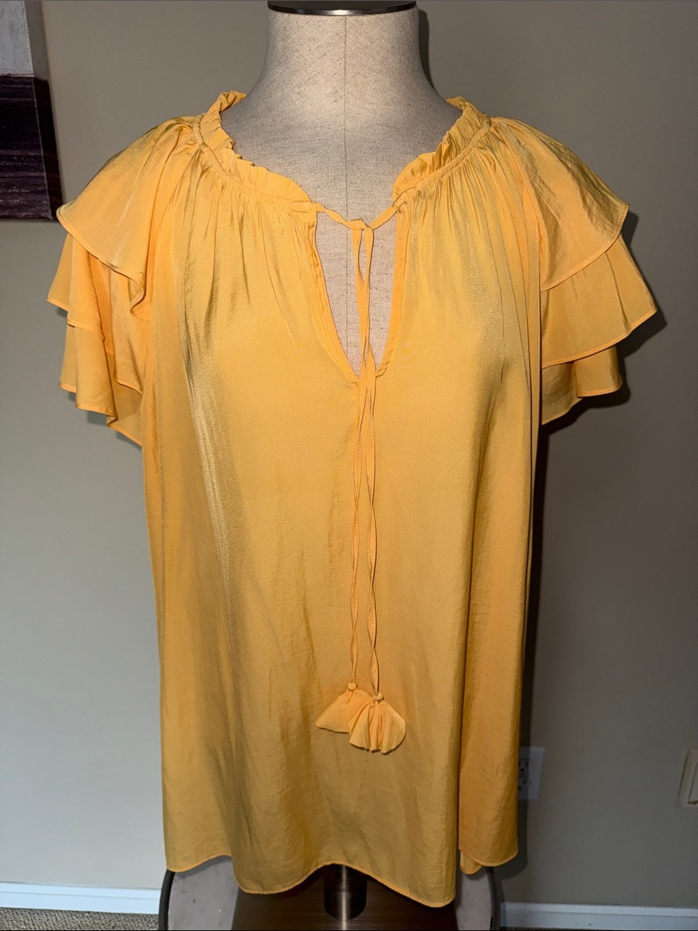 Rose & Olive Golden Yellow Ruffle Tie-Front Blouse